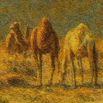 Camels Landscape